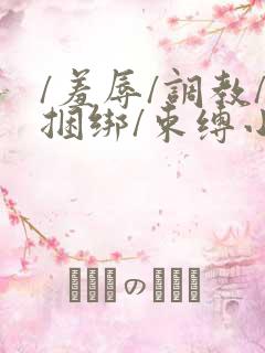 /羞辱/调教/捆绑/束缚小说