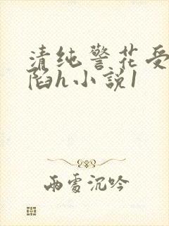 清纯警花受辱沦陷h小说1