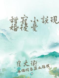 甜宠小说现言先婚后爱