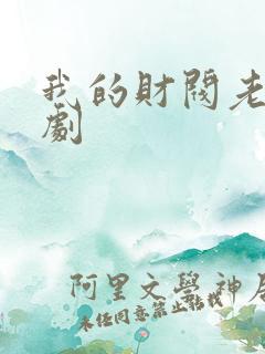 我的财阀老婆短剧