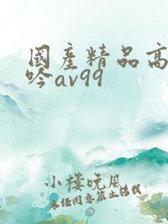 国产精品高潮呻吟av99