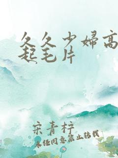 久久少妇高潮迭起毛片