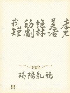 我的绝美老板娘短剧林浩免费观看