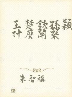 王楚钦孙颖莎是什么关系