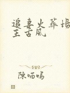 追妻火葬场双男主古风