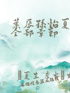 叶辰孙怡夏若雪全部章节