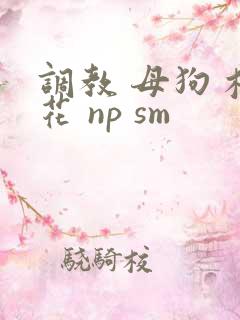 调教 母狗 校花 np sm