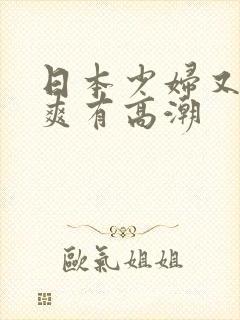 日本少妇又色又爽有高潮