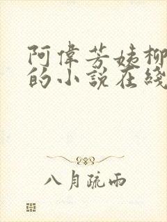 阿伟芳姨柳娇娇的小说在线阅读