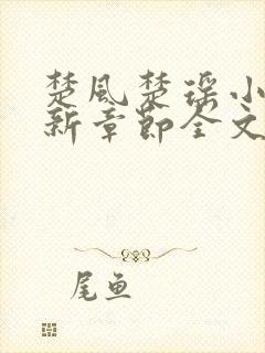 楚风楚瑶小说最新章节全文阅读