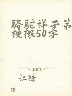 骆驼祥子第一章梗概50字