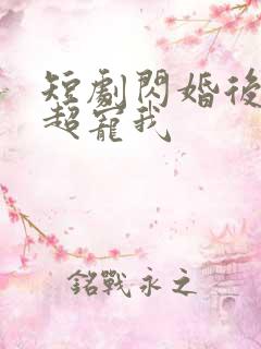 短剧闪婚后大叔超宠我