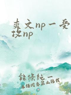 爽文np一受多攻np
