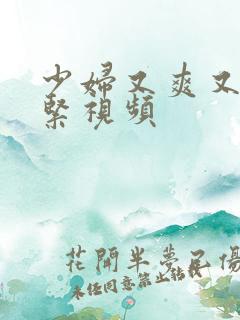 少妇又爽又猛又紧视频