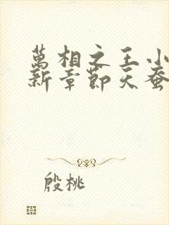 万相之王小说最新章节天蚕土豆