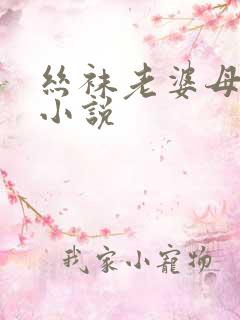 丝袜老婆母调教小说