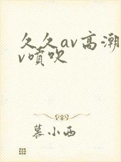 久久av高潮av喷吹