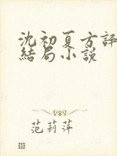 沈初夏方译洲大结局小说