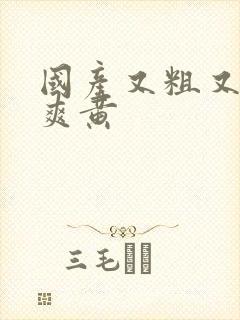 国产又粗又猛又爽黄