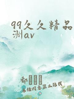 99久久精品亚洲av