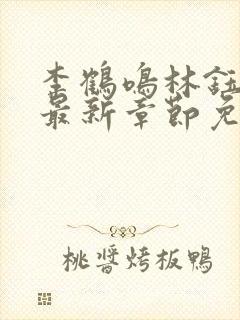 李鹤鸣林钰小说最新章节免费阅读