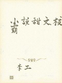 小说甜文校园校霸