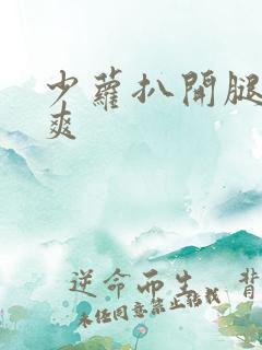 少萝扒开腿让桶爽