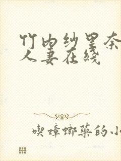 竹内纱里奈夜袭人妻在线