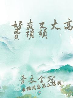 好爽又大高潮免费视频