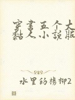 穿书五个大佬太黏人小说版