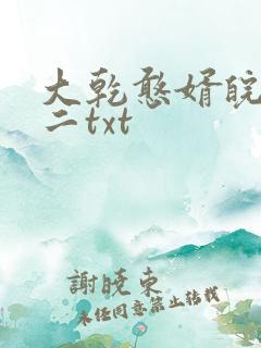 大乾憨婿皖南牛二txt