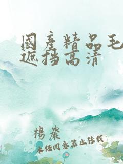 国产精品毛片无遮挡高清