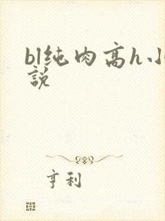 bl纯肉高h小说