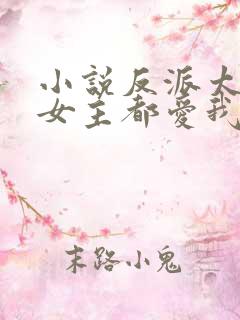 小说反派太帅,女主都爱我怎么办txt