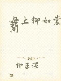 母上柳如裳笔趣阁