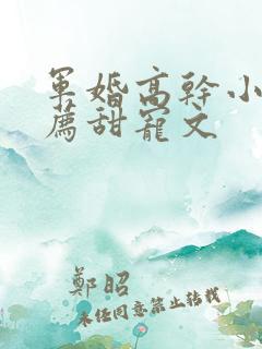 军婚高干小说推荐甜宠文