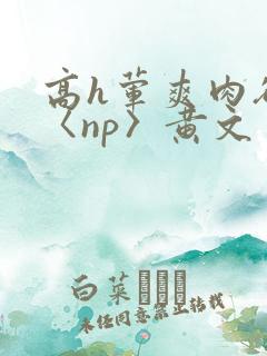高h荤爽肉欲文〈np〉黄文