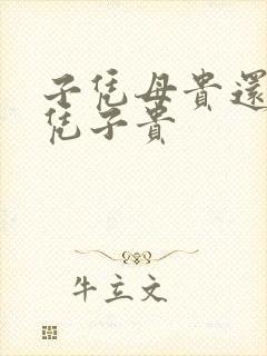 子凭母贵还是母凭子贵