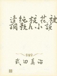 清纯校花被地狱调教h小说