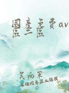 国产免费av一区二区