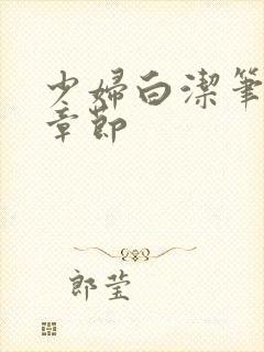 少妇白洁笔趣阁章节