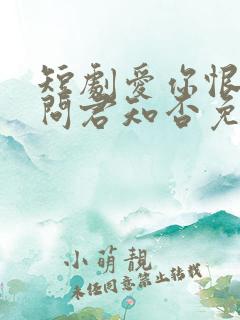 短剧爱你恨你,问君知否免费观看