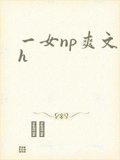 一女np爽文高h