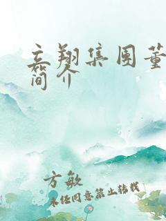 立翔集团董事长简介