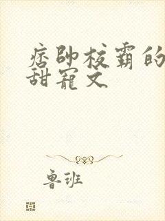 痞帅校霸的校园甜宠文