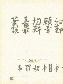 萧长均顾沁儿小说最新章节免费阅读