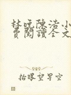 林晚陈浩小说免费阅读全文最新章节