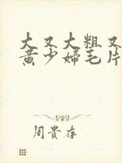 大又大粗又爽又黄少妇毛片口