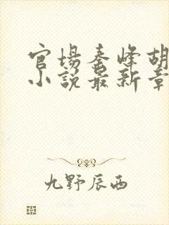 官场秦峰胡佳云小说最新章节内容