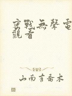 密战无声电视剧观看